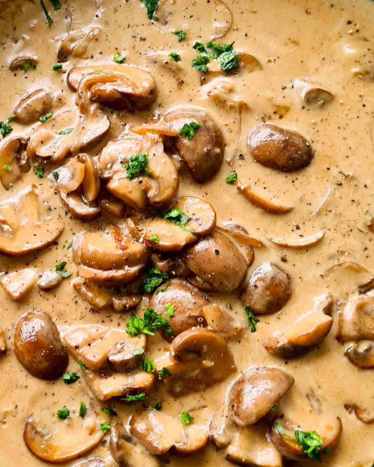 Cilantro Mushroom Sauce