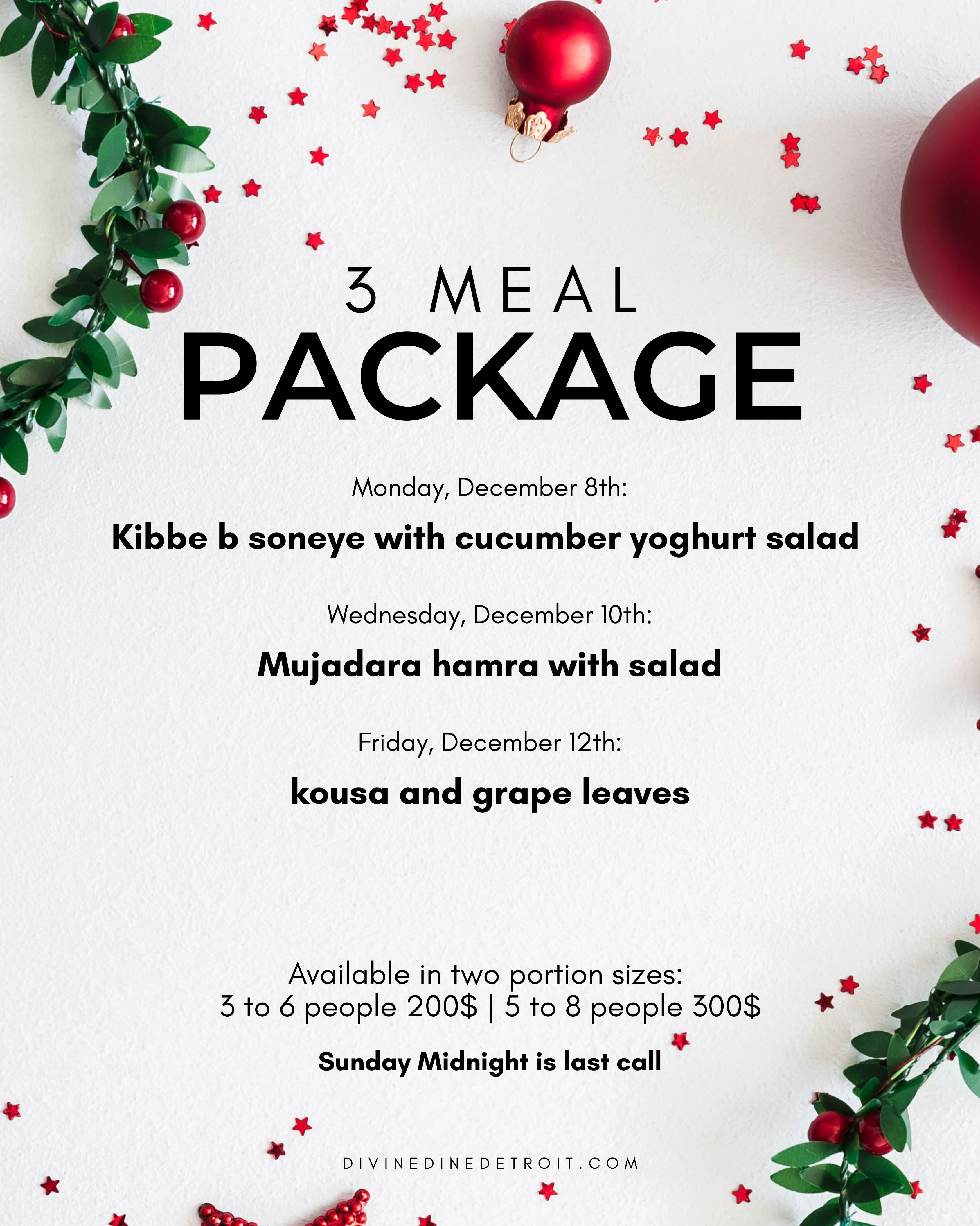 3 Meals Package ( 5 to 8 people )